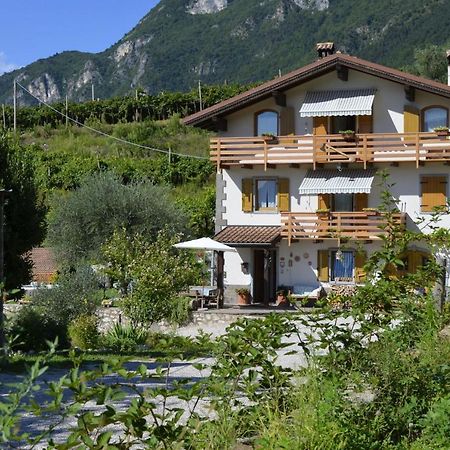 Bed and Breakfast Ca Ulivi Ала Экстерьер фото