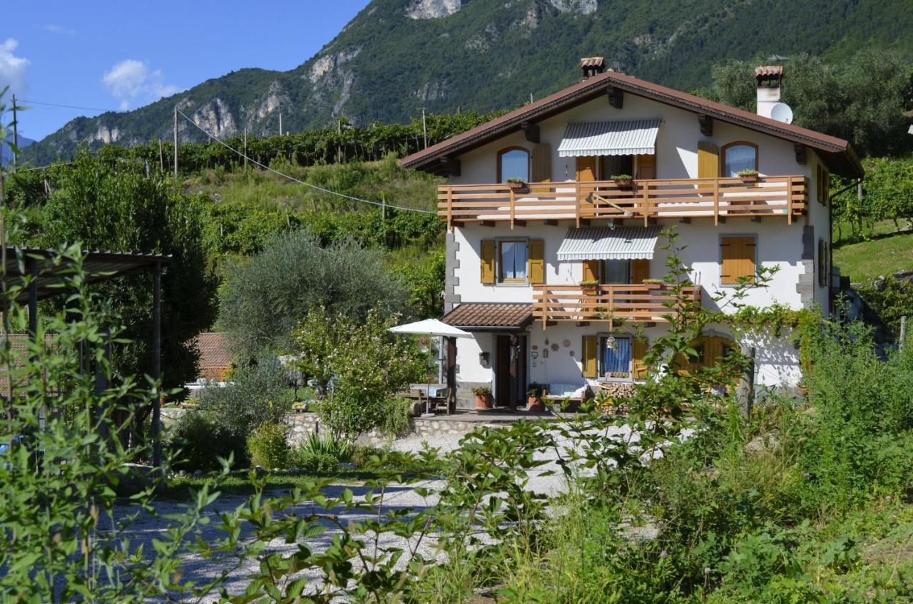 Bed and Breakfast Ca Ulivi Ала Экстерьер фото