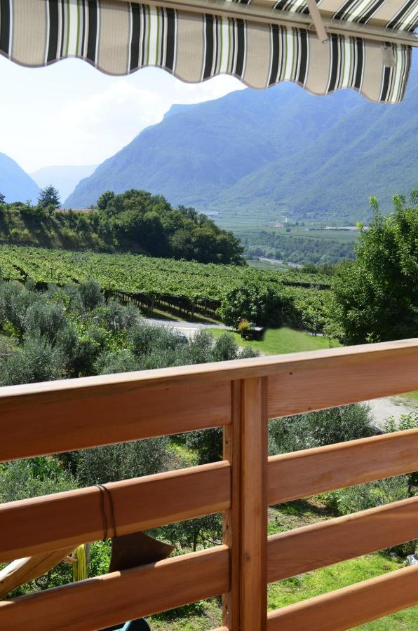 Bed and Breakfast Ca Ulivi Ала Экстерьер фото